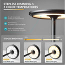 Ljojo LED Industrial Style Charging Desk Lamp Touch Dimming USB Night Light