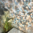 Ljojo LED Ceiling Light: Stylish Atmosphere Lighting for Home Decor, Perfect Christmas Gift