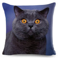 Cute Cat Print Fold Ear Pet Pillowcase for Cozy Home Decor by Ljojo