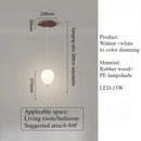 LED Ceiling Lights Nordic Simple Living Dining Room Ljojo Nursery Child Bedroom Cabinets Lamp