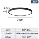 20 Inch Large Ceiling Light Dimmable LED Smart Control by Ljojo for Living Room Bedroom