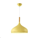 Nordic Colored Chandelier Wooden Pendant Light LED Lamp Single Head Aluminum Children Room Ljojo