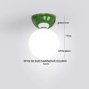 Ljojo LED Glass Iron Ceiling Light - Modern Nordic Style Home Indoor Lighting