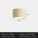 Ljojo Minimalist Cylinder LED Ceiling Light Modern Nordic Chandelier Hallway Kitchen Elegant Decor