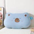 Ljojo Memory Foam Cooling Face Pillow, Summer Cartoon Shape for Neck Health