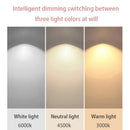 LED Ceiling Light Modern Stylish Elegant Bedroom Living Room Lamp - Ljojo