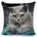 Cute Cat Print Fold Ear Pet Pillowcase for Cozy Home Decor by Ljojo