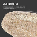Ljojo Modern Minimalist Golden Resin Ceiling Lamp for Bedroom and Living Room Decor