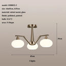 Ljojo Modern Chandelier Pendant Lamp for Living Room - Stylish Indoor Lighting for Home Decor