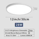 Ljojo 20" LED Smart Ceiling Lamp with Remote Control for Bedroom and Living Room