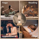 Ljojo Melting Candle Warmer Lamp with Timer for Home Bedroom Decor