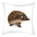 Hedgehog Print Pillow Cover for Home Sofa Decor 45X45cm - Ljojo