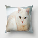Cute Cat Print Cushion Cover for Sofa Decor by Ljojo