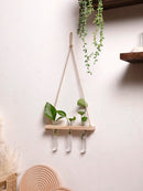 Ljojo™ Air Plants Wall Hanging Floating Shelf Boho Art Home Decor