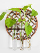 Ljojo™ Wooden Circle Wall Planters with 3 Test Tubes