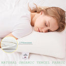 Ljojo Luxe Thai Latex Bed Pillow for Ultimate Comfort and Support