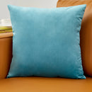 Blue Velvet Throw Pillow Cover - Ljojo Home Decoration Pillowcase