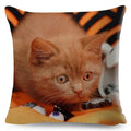 Cute Cat Print Fold Ear Pet Pillowcase for Cozy Home Decor by Ljojo