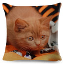 Cute Cat Print Fold Ear Pet Pillowcase for Cozy Home Decor by Ljojo