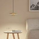 Nordic Simple LED Pendant Lights Brighten Every Room | Ljojo
