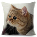 Cute Cat Print Fold Ear Pet Pillowcase for Cozy Home Decor by Ljojo