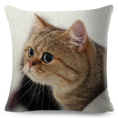 Cute Cat Print Fold Ear Pet Pillowcase for Cozy Home Decor by Ljojo