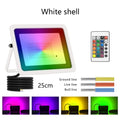 Ljojo™ RGB LED Outdoor Floodlight 20W-100W IP68 Garden Spotlight Projector Lamp