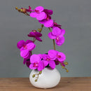 Ceramic Butterfly Orchid Vase for Home Decor Ljojo™ Orchid Collection