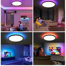 Modern LED RGB Ceiling Light Dimmable Remote Control Bedroom Lamp Ljojo