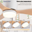 Modern Mute DC Motor 3-Color Dimmable Ceiling Lamps 6-Speed LED Chandelier for Living Room by Ljojo