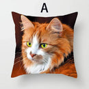 Cat Pattern Cushion Cover 45x45cm - Ideal Sofa & Home Decor Gift by Ljojo