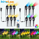 Ljojo LED RGB Lawn Spike Lamp for Garden Landscape, Remote Control, Waterproof IP65