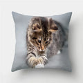 Cute Cat Print Cushion Cover for Sofa Decor by Ljojo