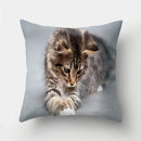 Cute Cat Print Cushion Cover for Sofa Decor by Ljojo