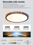 LED Ceiling Light Alexa Compatible Smart Minimalist Modern Living Room Bedroom Ljojo