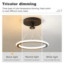 Modern LED Circular Pendant Light for Corridor and Bedroom Decor by Ljojo