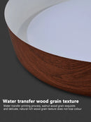 Ljojo LED Ceiling Light: Nordic Minimalist Remote Control Chandelier