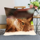Cute Cat Print Pillowcase by Ljojo - Perfect for Home, Car, and Sofa