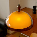 Brown Acrylic Pendant Lamp LED Chandelier for Bedroom Dining Room by Ljojo