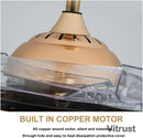 42 Inch Crystal Fandelier Ceiling Fan with Lights Remote - Modern Retractable Chandelier Fan by Ljojo