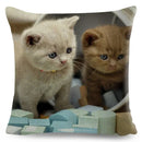 Cute Cat Print Fold Ear Pet Pillowcase for Cozy Home Decor by Ljojo