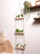 Ljojo™ Air Plants Wall Hanging Floating Shelf Boho Art Home Decor