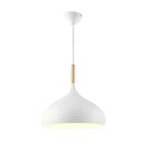 Nordic Colored Chandelier Wooden Pendant Light LED Lamp Single Head Aluminum Children Room Ljojo