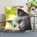 Cute Cat Print Pillowcase by Ljojo - Perfect for Home, Car, and Sofa