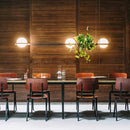 Ljojo LED Chandelier Plant Suspension Pendant Light - Black Kitchen Bar Dinning Room