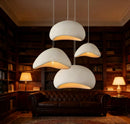 Ljojo Modern Nordic Brim Resin LED Pendant Light Chandelier for Home Decor