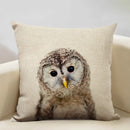 Animal Print Cushion 45x45cm for Sofa, Car Seat & Living Room Decor by Ljojo