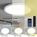 20 Inch Large Ceiling Light Dimmable LED Smart Control by Ljojo for Living Room Bedroom