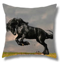 Fine Horse Print Cushion Cover for Home Decor by Ljojo