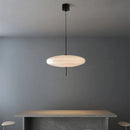 Nordic Designer Led Pendant Light Modern Hanging Chandelier Ljojo